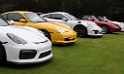 014-Porsche-Werks-Reunion-Monterey